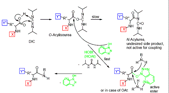DIC Activation Reaction Mechanism