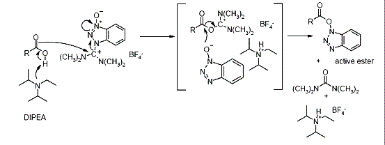 Onium Salt Coupling Reaction Mechanism