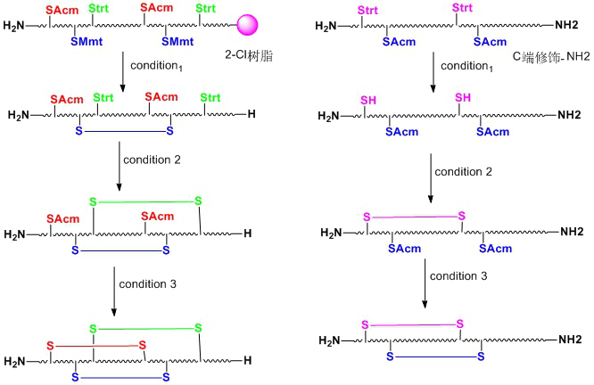 Regioselective Multi-Disulfide Bond Formation Chemical Steps